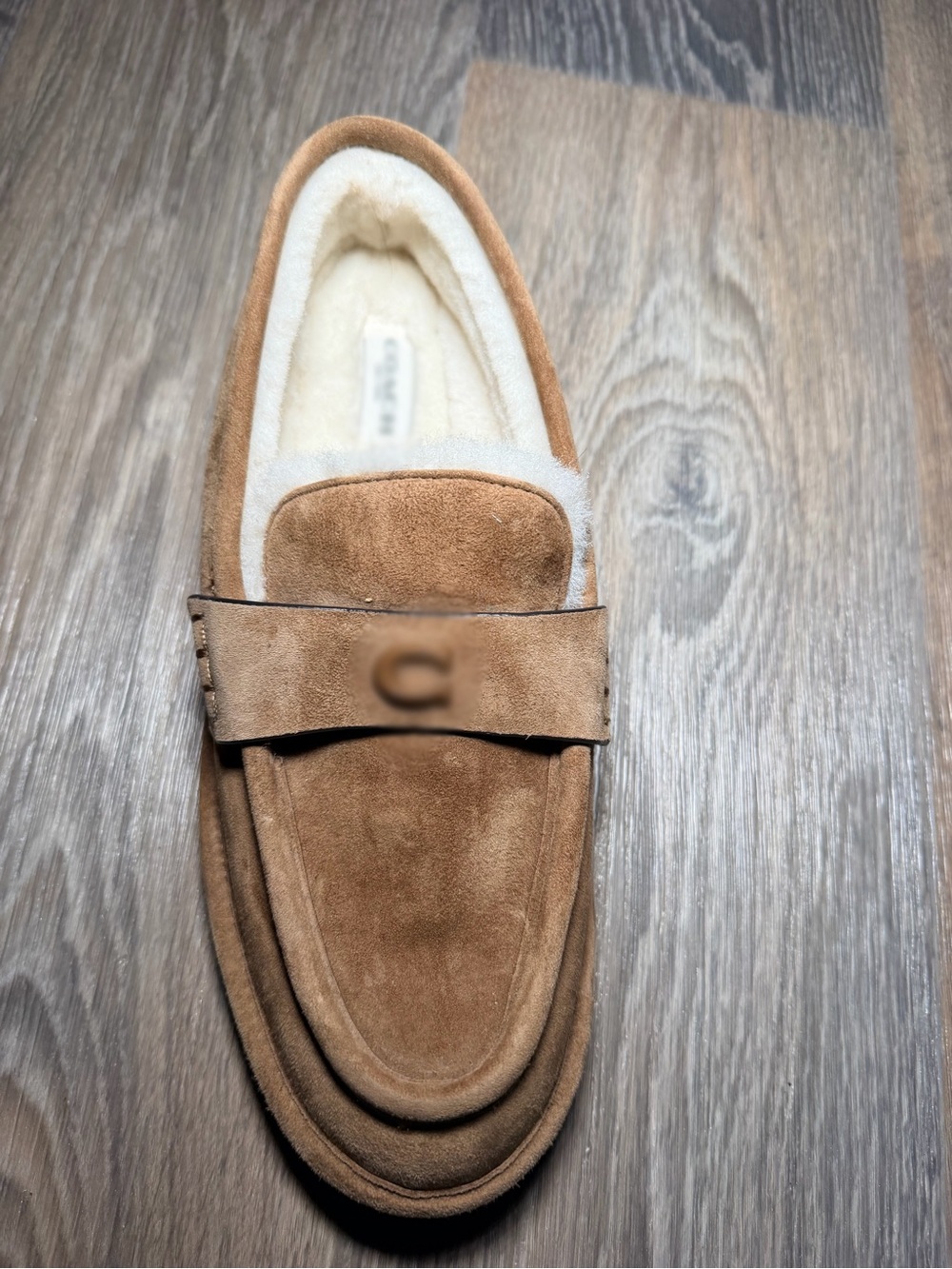 Coach Women's Suede Penny Loafer in Chestnut Brown with Cream Lining